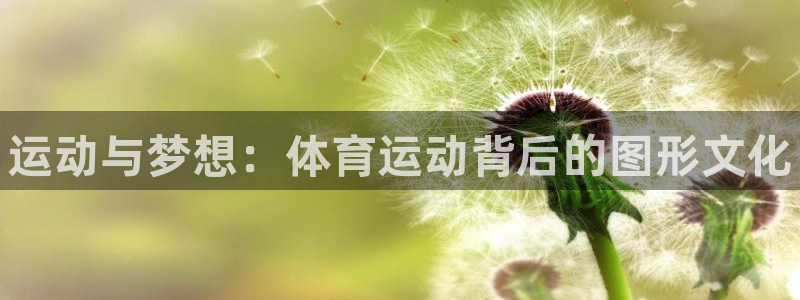 vsport体育官网下载联系电话：运动与梦想：体育运