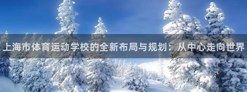 vsport体育官方正版app五金厂：上海市体育运动