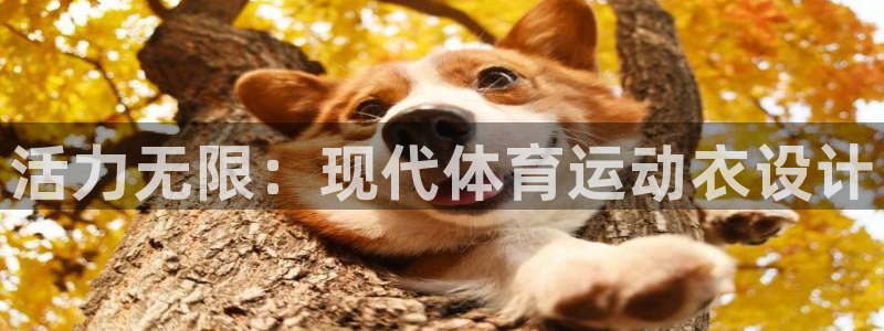 vsport体育官网下载注册：活力无限：现代体育运动