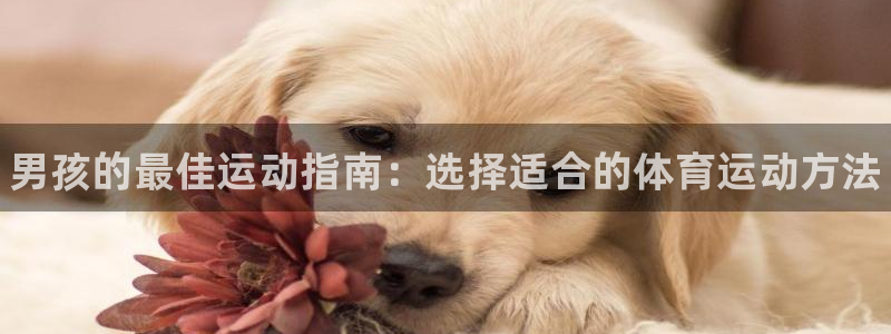vsport体育官网下载招商电话是多少啊：男孩的最佳