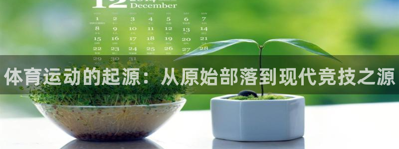 vsport体育官网下载招商电话是多少：体育运动的起