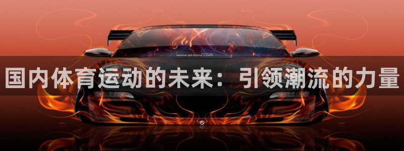 vsport体育官方正版app娱乐代理怎么样：国内体