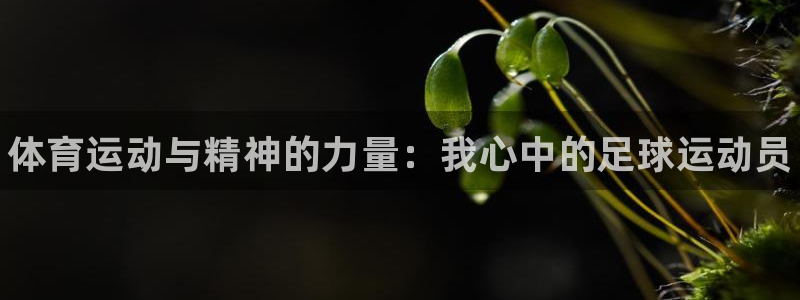 vsport体育官方正版app集团logo：体育运动