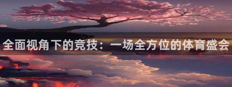 vsport体育官方平台体育：全面视角下的竞技：一场