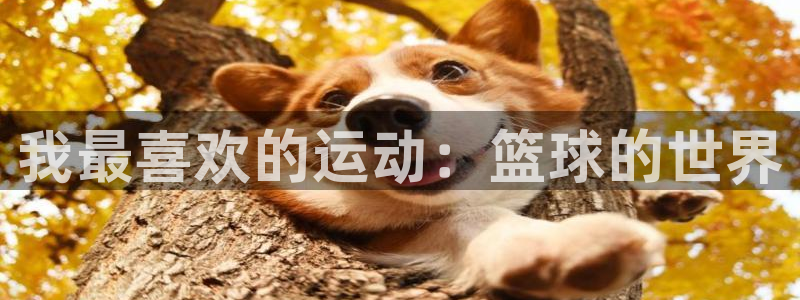 vsport体育官网下载招商电话号码是多少：我最喜欢