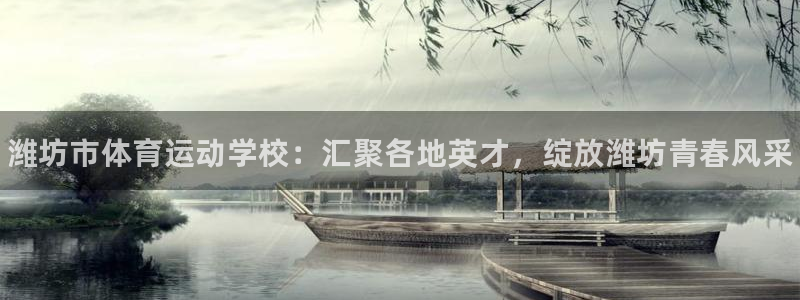 vsport体育官方正版app神州：潍坊市体育运动学