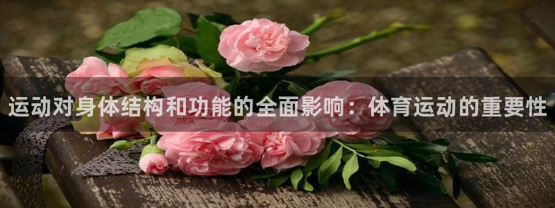 vsport体育官网下载平台是正规平台吗知乎：运动对