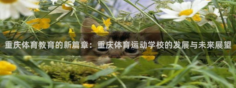 vsport体育官方正版app代理：重庆体育教育的新