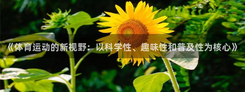 vsport体育官网下载招商：《体育运动的新视野：以科学性、