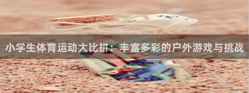 vsport体育官网下载娱乐：小学生体育运动大比拼：