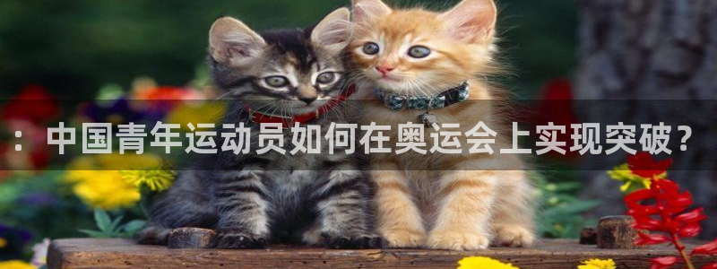 vsport体育官方正版app代理：：中国青年运动员