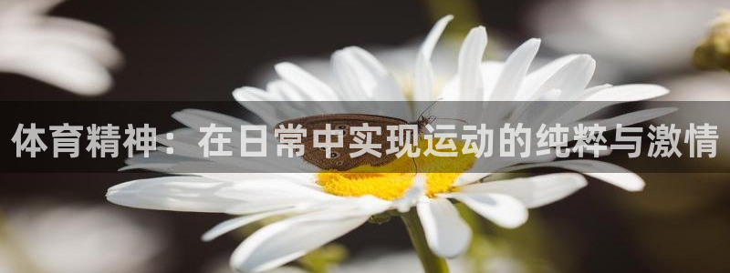 vsport体育官网下载平台APP：体育精神：在日常中实现运