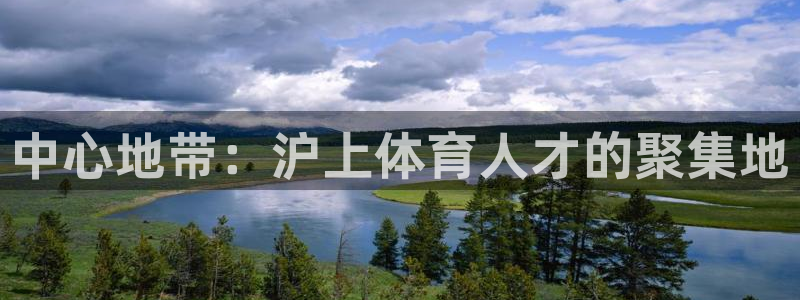 vsport体育官方正版app集团官网首页：中心地带