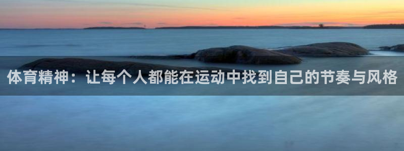 vsport体育官网下载招商：体育精神：让每个人都能