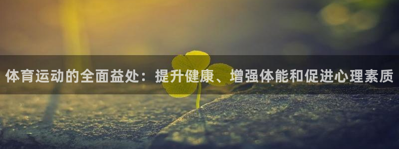 vsport体育官方正版app官网：体育运动的全面益