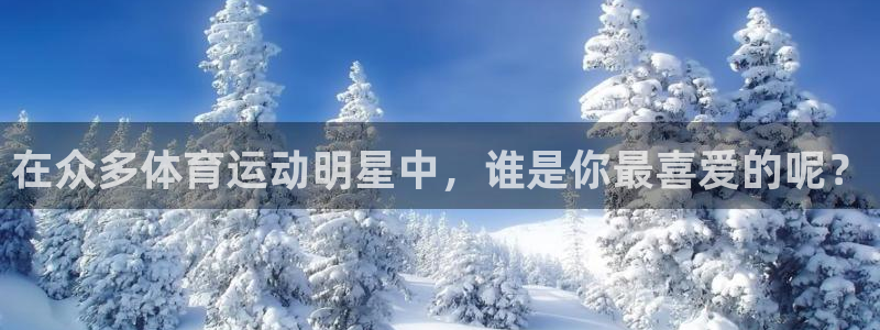 vsport体育官方正版app官方：在众多体育运动明星中，谁