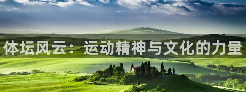 vsport体育官方正版app开户：体坛风云：运动精