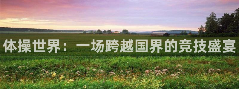 vsport体育官网下载平台假的吗是真的吗：体操世界