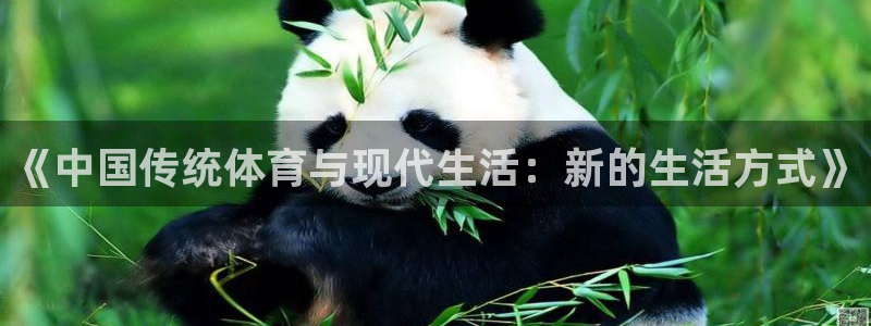 vsport体育官网下载招商电话地址：《中国传统体育
