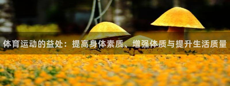 vsport体育官方正版app娱乐是那个系列的台子：