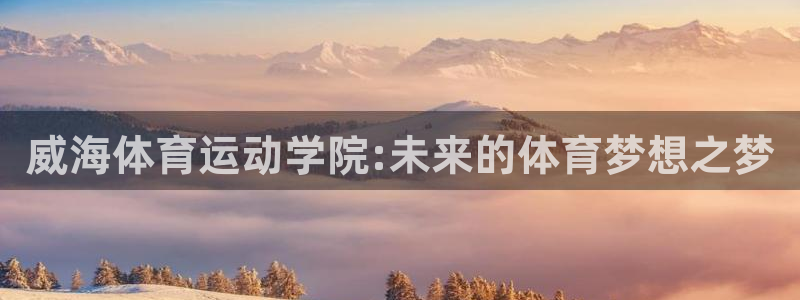vsport体育官网下载平台是正规平台吗：威海体育运动学院: