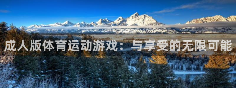 vsport体育官方正版app官方：成人版体育运动游戏：与享