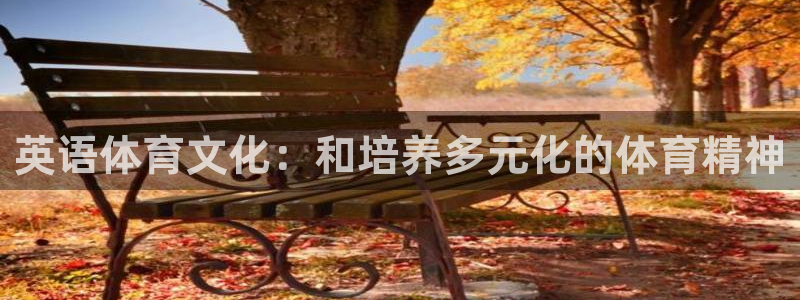 vsport体育官网下载招商电话地址查询：英语体育文