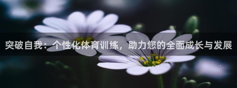 vsport体育官网下载平台是正规平台吗知乎：突破自