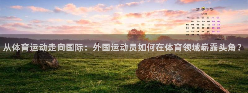 vsport体育官方平台体育：从体育运动走向国际：外国运动员