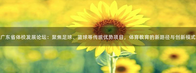 vsport体育官方正版app娱乐首页官网下载：广东