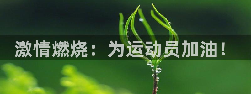 vsport体育官网下载招商电话地址查询：激情燃烧：为运动员