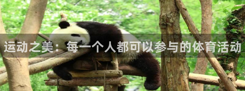 vsport体育官网下载招商电话地址：运动之美：每一个人都可