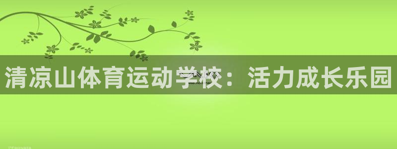 vsport体育官网下载招商电话地址：清凉山体育运动