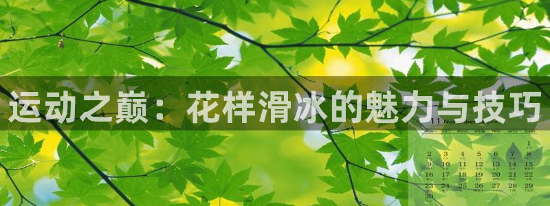 vsport体育官方正版app官方